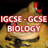 IGCSE - GCSE  BIOLOGY