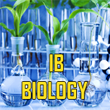 IB BIOLOGY (HL & SL)